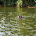 DSC05643